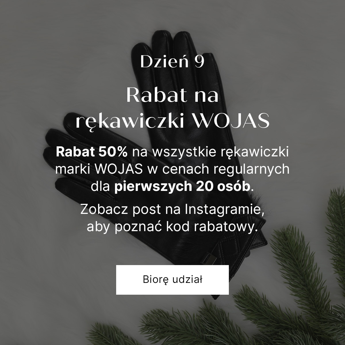 Dzień 9