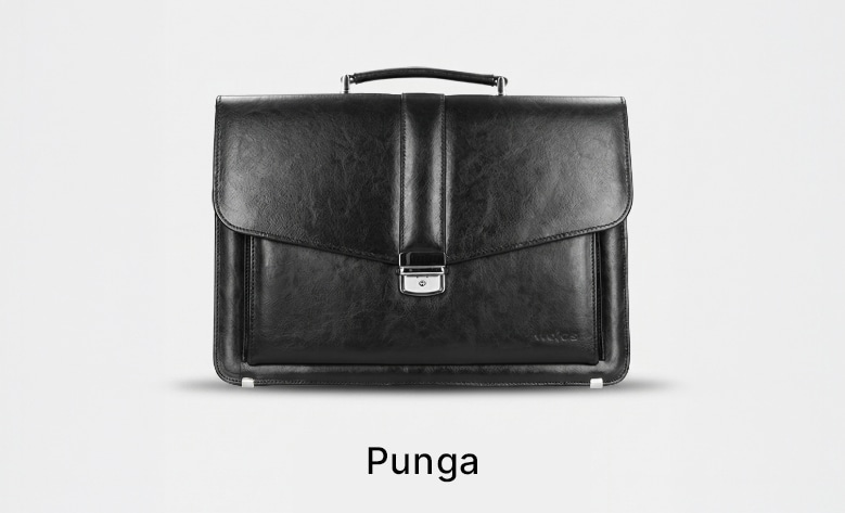 Punga barbati