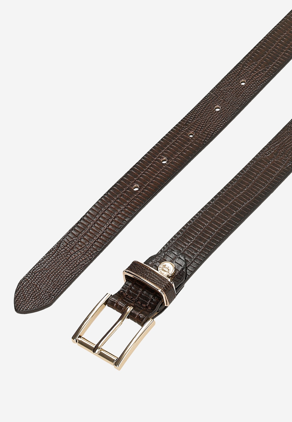 Hnědý reliéfní pásek s imitací krokodýlí kůže se zlatými doplňky 9966-53 Widok 4