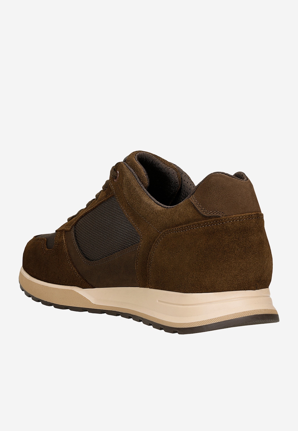 Wojas ciemnobrązowe sneakersy męskie 10243-82 z zamszu i tkaniny, widok z tyłu, jasna podeszwa.