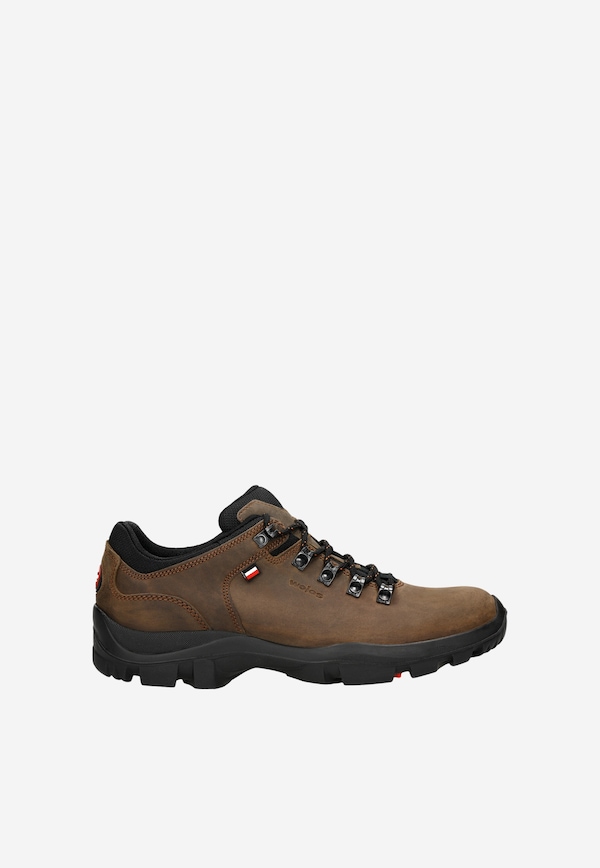 Men's brown trekking shoes