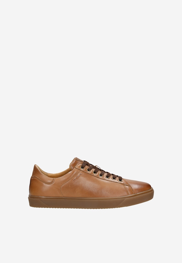 Shoes Men's
