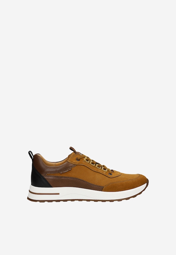 Shoes Men's