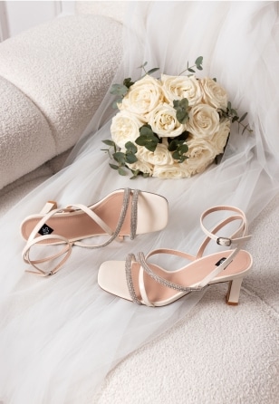 きなこ middle_img_168037.jpg