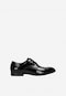 Shoes Men's 10236-51