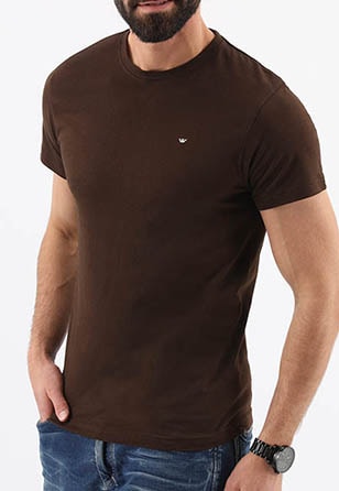 Koszulka męska z krótkim rękawem w kolorze brązowym